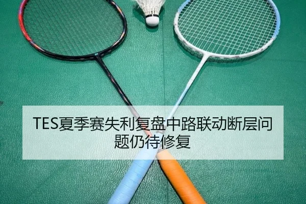 TES夏季赛失利复盘中路联动断层问题仍待修复（kaiyun）